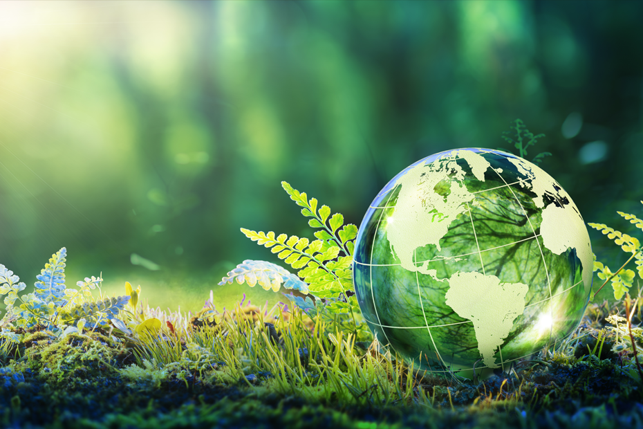 BOREAS SÜRDÜRÜLEBİLİR ÇÖZÜMLERİYLE BLOOMBERG HT’DE!